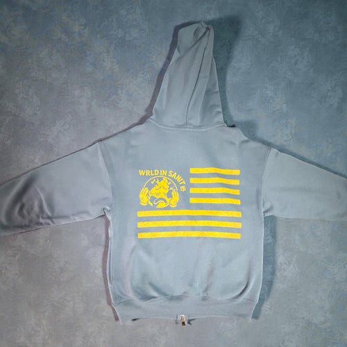 AMERICA HOODIE